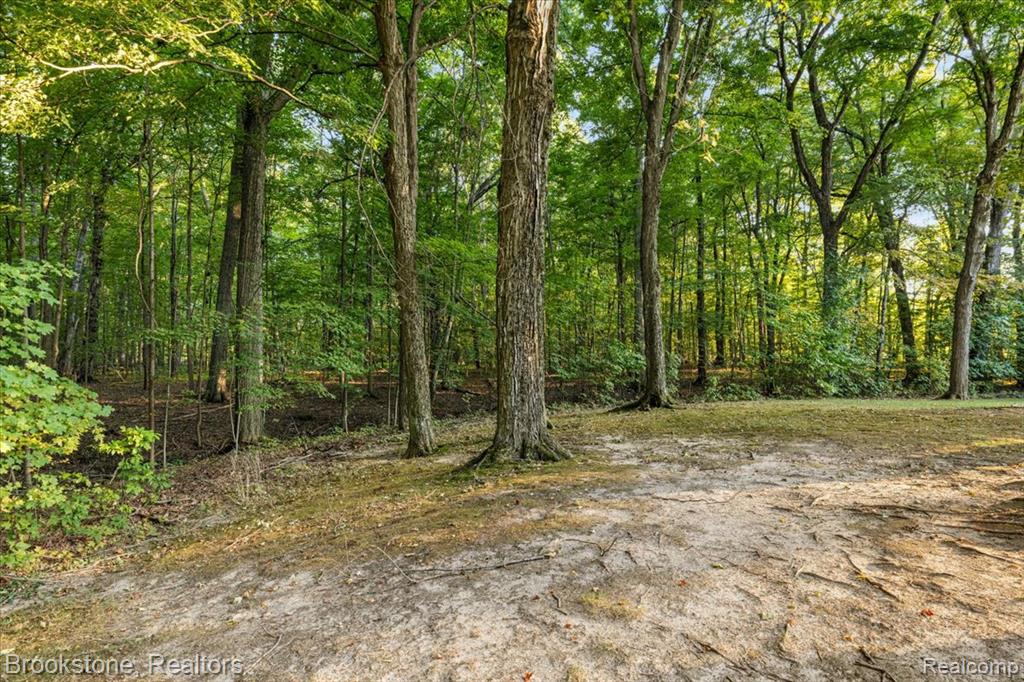 728 E Romeo Road, Oakland, MI — Photo 17