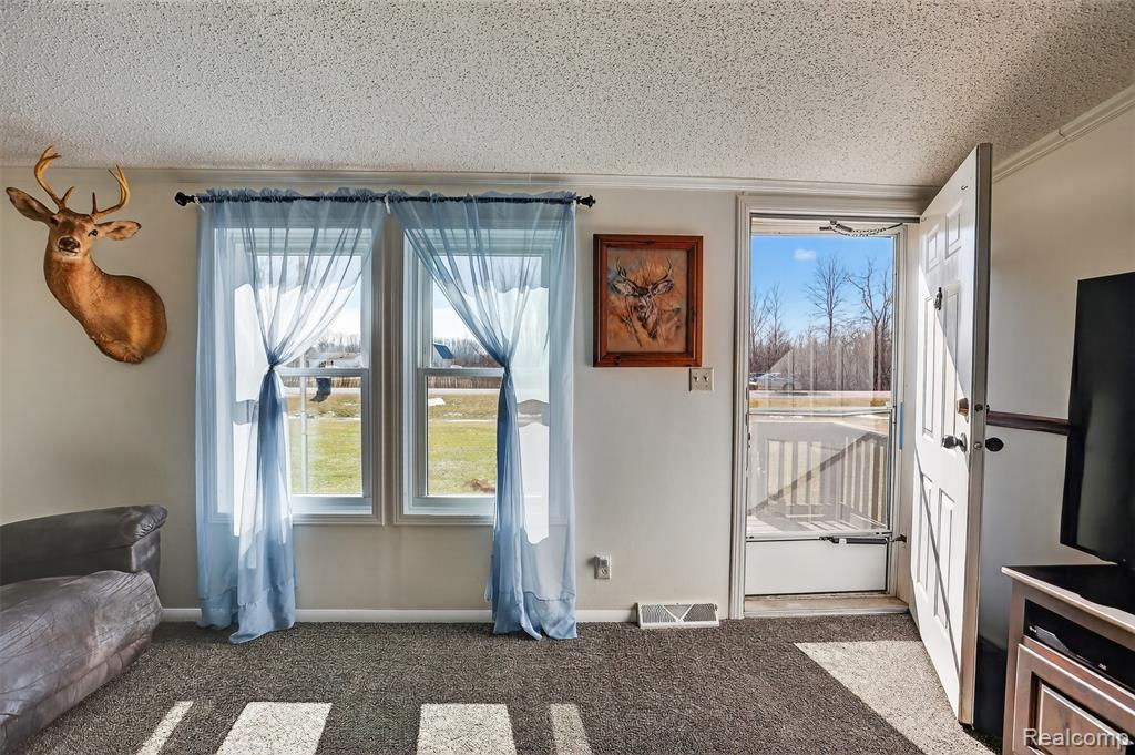 700 Obrien Road, Mayville Vlg, MI 48744 — Photo 12