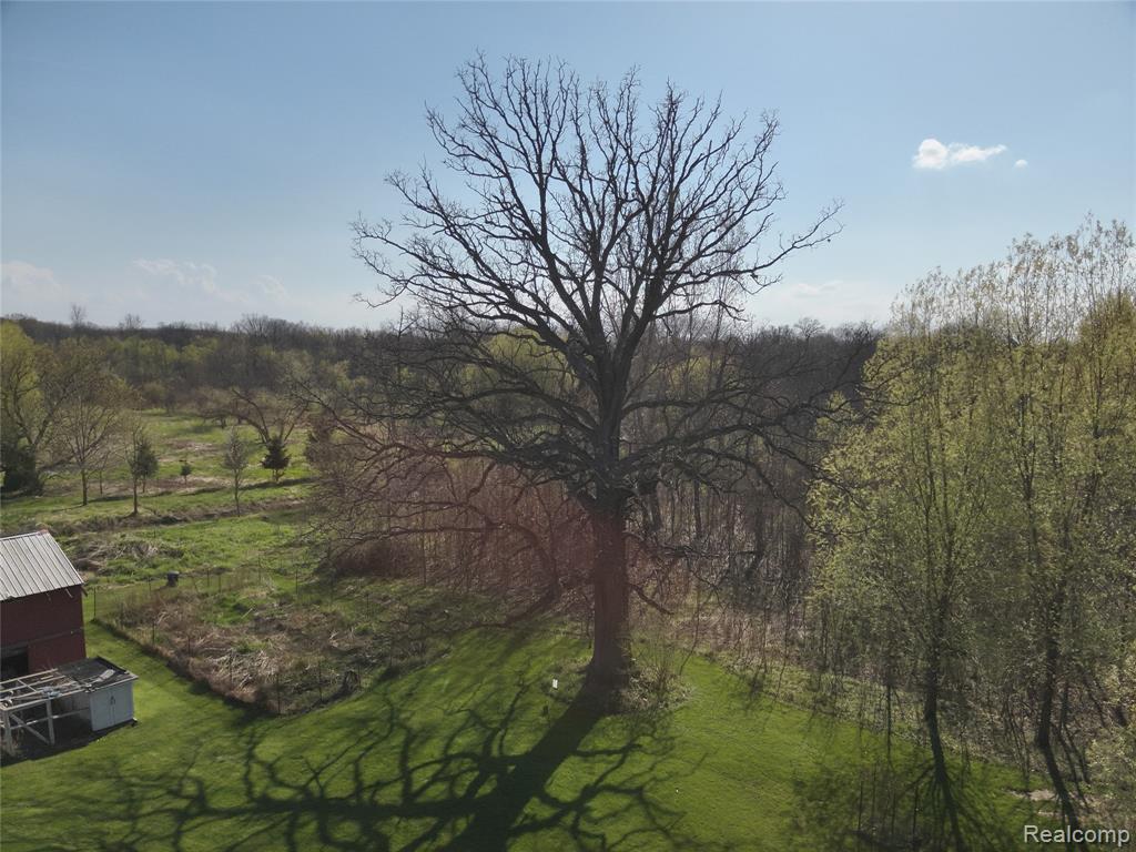 5785 Layton Road, Fowlerville, MI 48836 — Photo 66