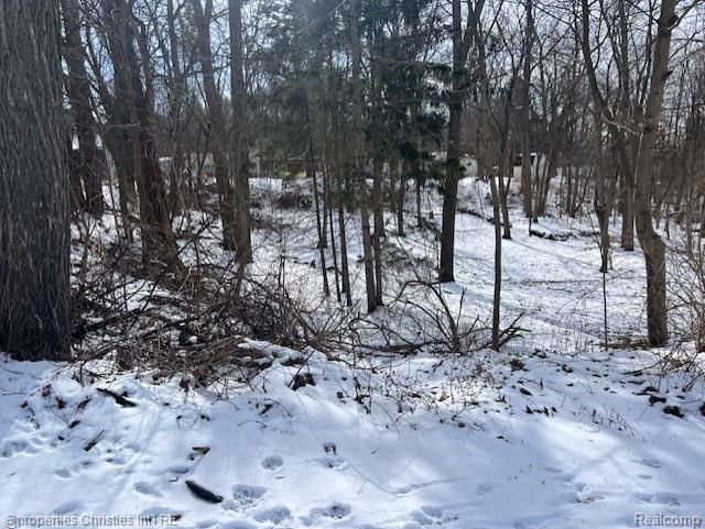 439 Alberta Street Lot 81, Auburn Hills, MI 48326 — front exterior
