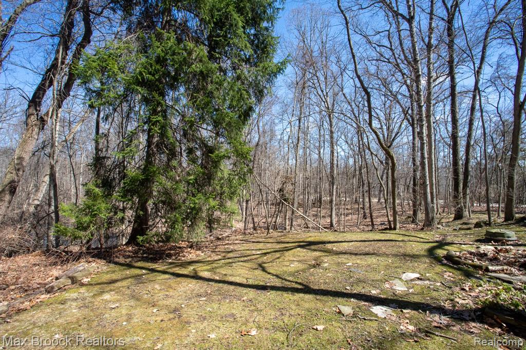 30875 Franklin Road, Franklin, MI 48025 — Photo 77