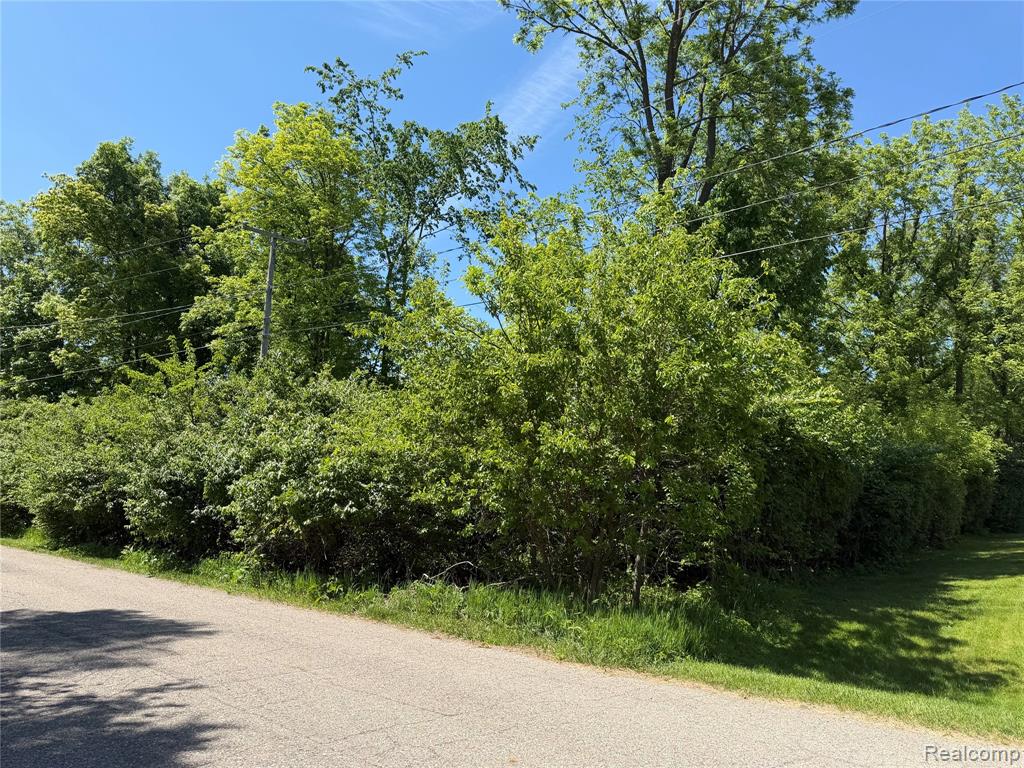 V/L Claremont Circle, Brooklyn, MI 49230 — Photo 3