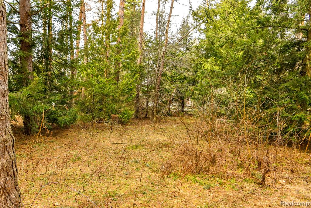 Lot 64 Merry Road, Waterford, MI 48328 — Photo 16