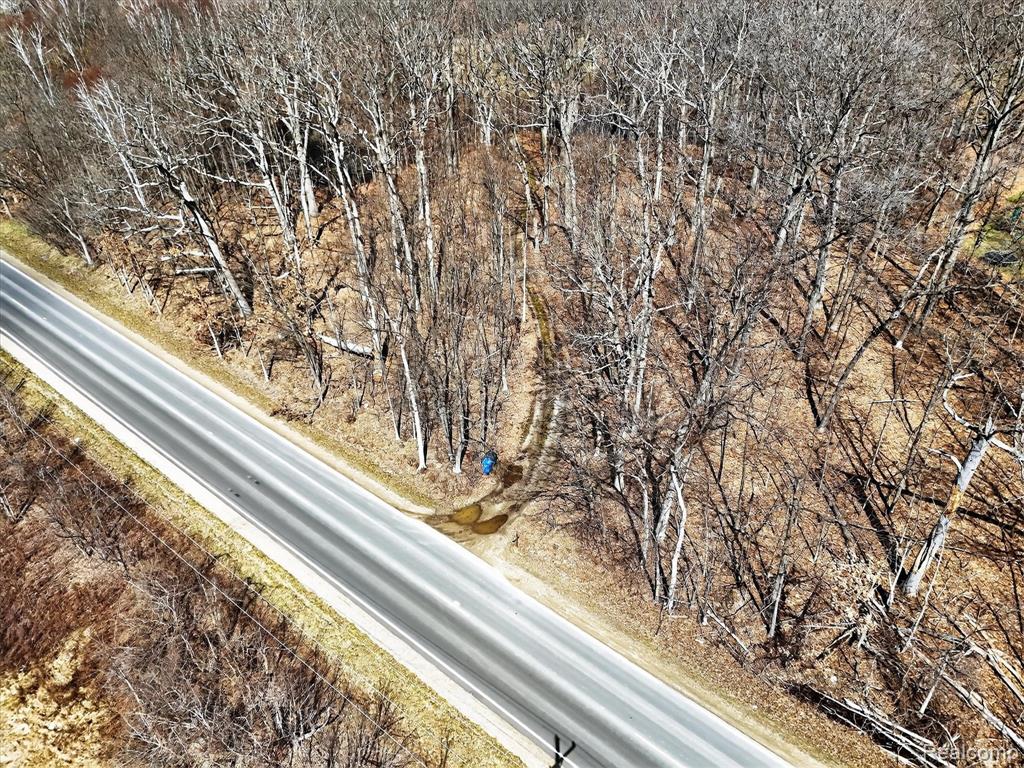 VL Herbst, Brighton, MI 48114 — Photo 11