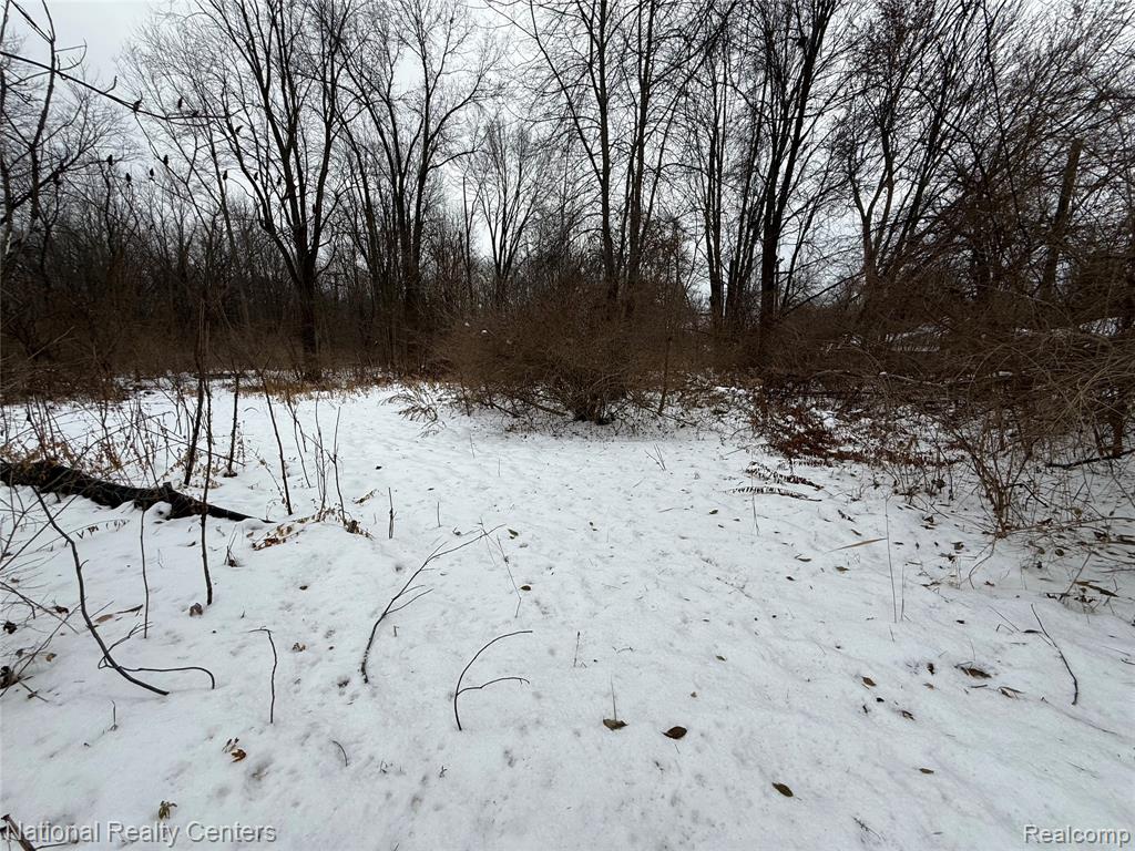 Vacant Ecorse Road, Romulus, MI 48174 — front exterior