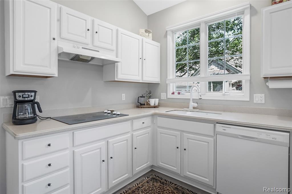 16822 Lochmoor Circle W, Northville, MI 48168 — Photo 19