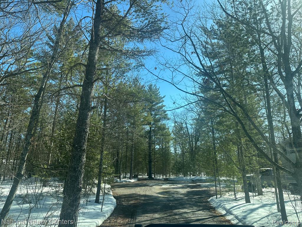 15967 NE SPRUCE Drive E, Presque Isle, MI 49777 — Photo 2