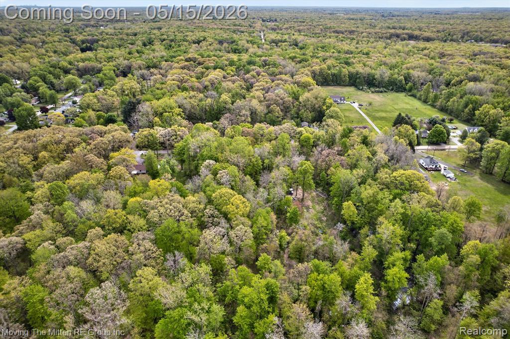 22530 Bohn Road, Belleville, MI 48111 — Photo 19