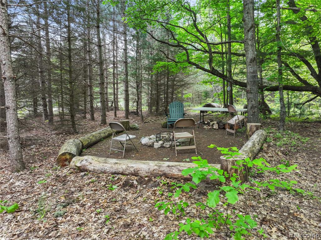 8875 N Lakola Road, Tustin, MI 49688 — Photo 12