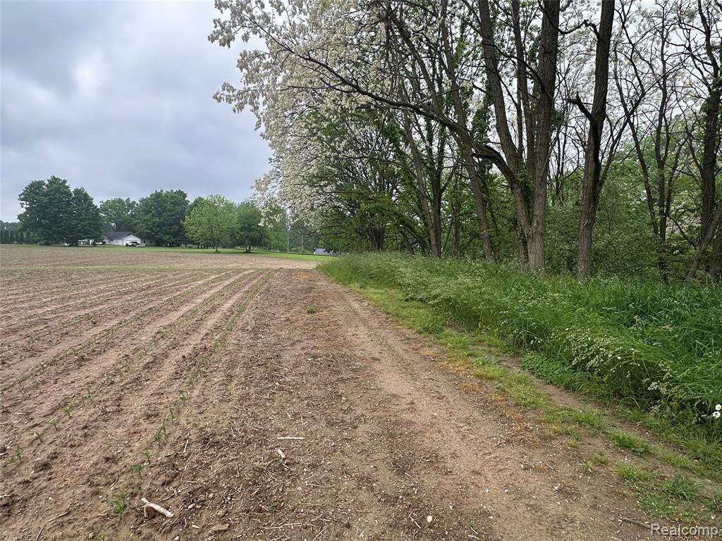 VL Mertz Road, Mayville Vlg, MI 48744 — Photo 23