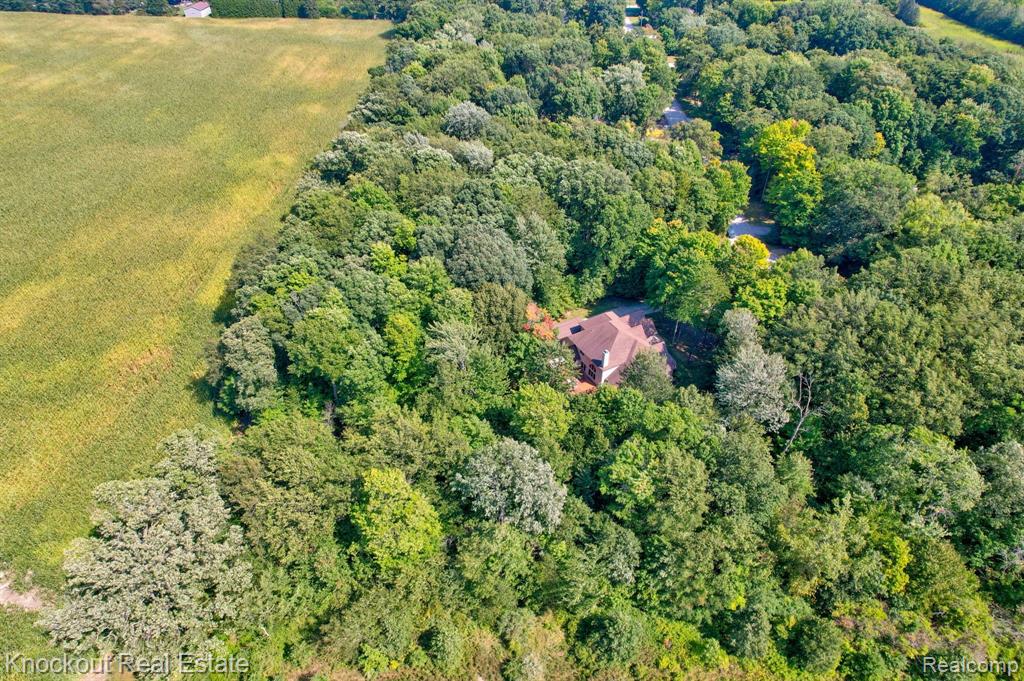 9763 BEECH TREE Lane, Frankenmuth, MI 48734 — Photo 68
