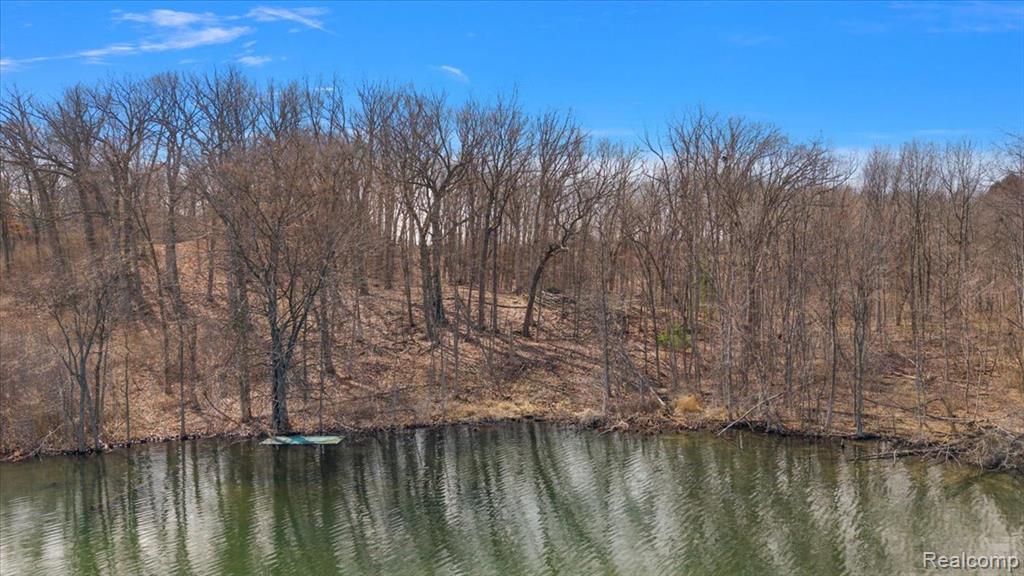 10515 Horton Road, Goodrich Vlg, MI — Photo 13