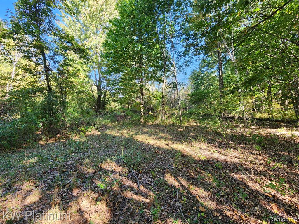 8060 Brockway Road, Melvin, MI 48454 — Photo 31