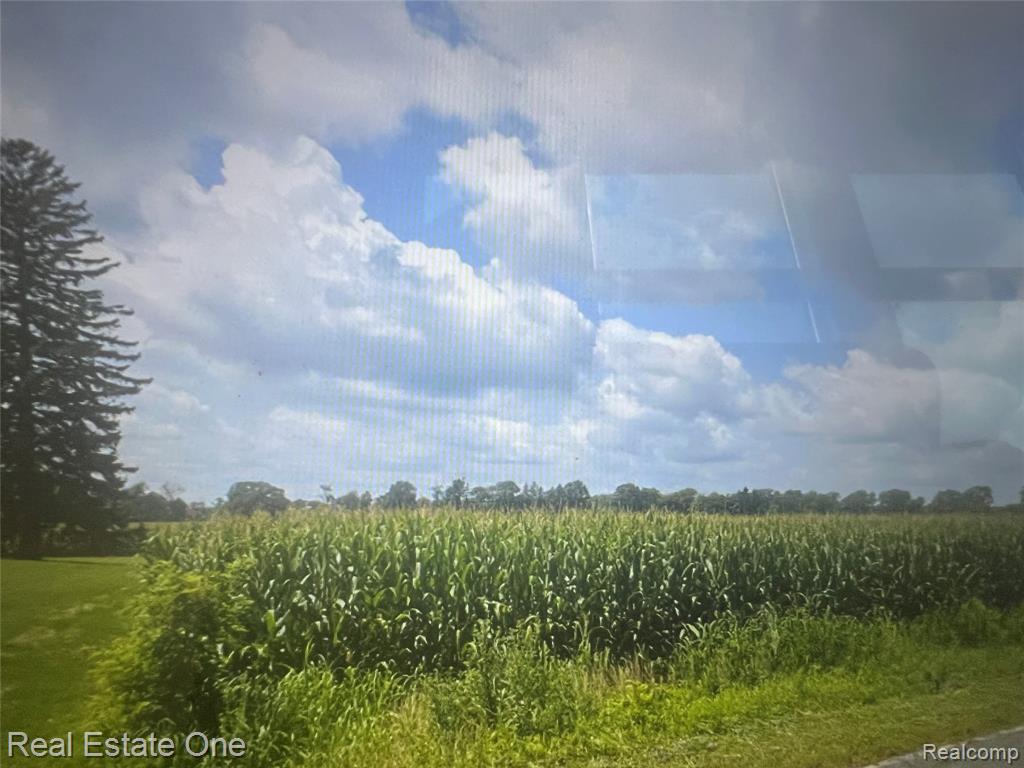 5551 N Gibbs Road, Albion, MI 49224 — Photo 6