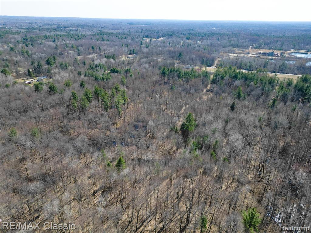 4626 WALTAN Road, Vassar, MI 48768 — Photo 80