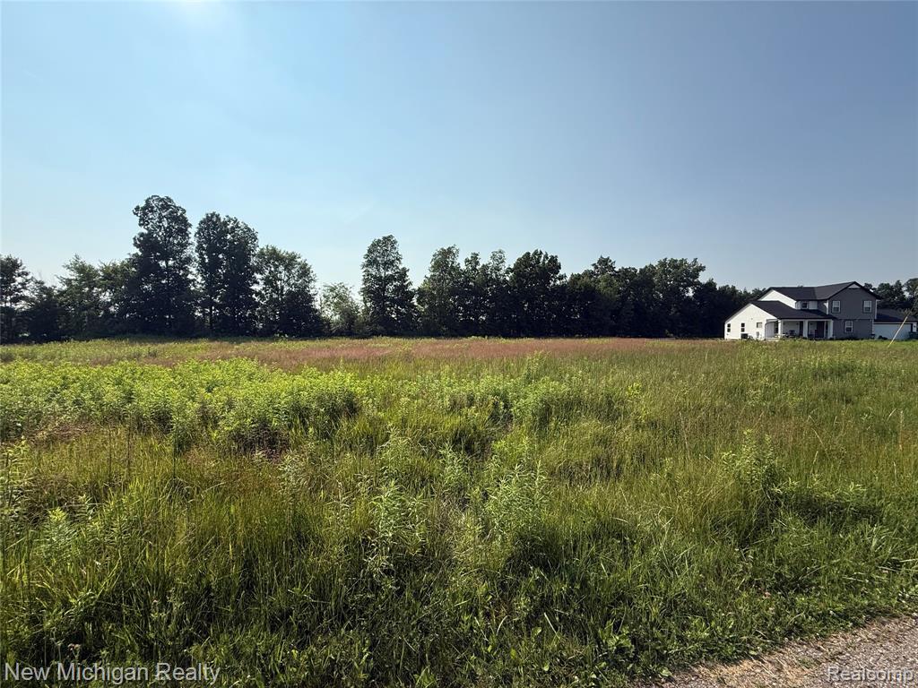 9807 Oak Ridge Road, New Lothrop, MI 48460 — Photo 8