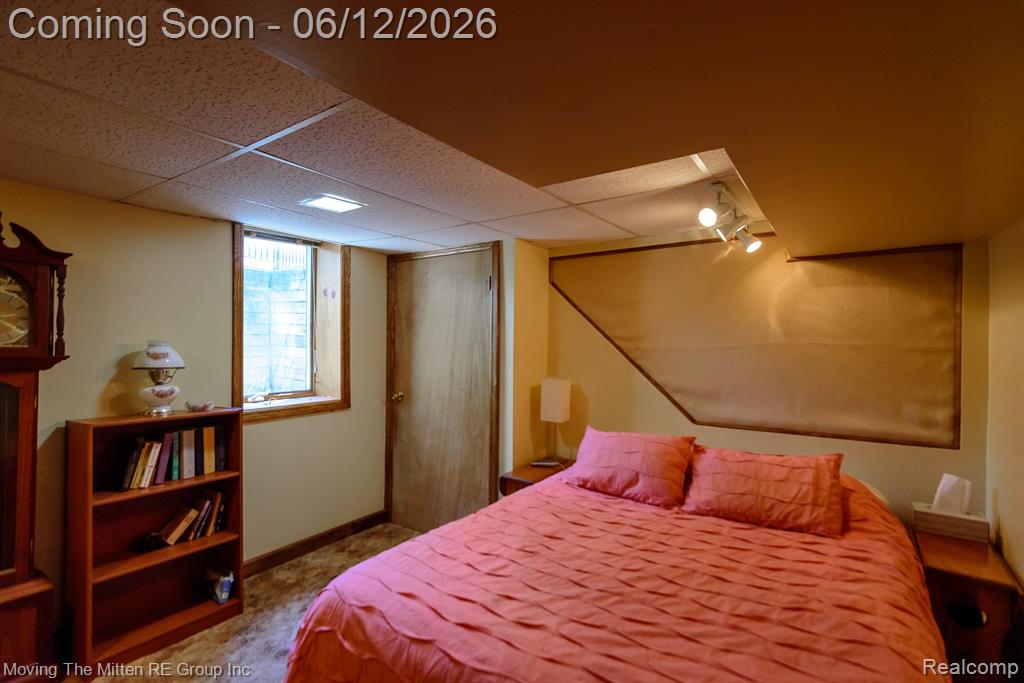9853 Hamilton Street, Belleville, MI 48111 — Photo 29