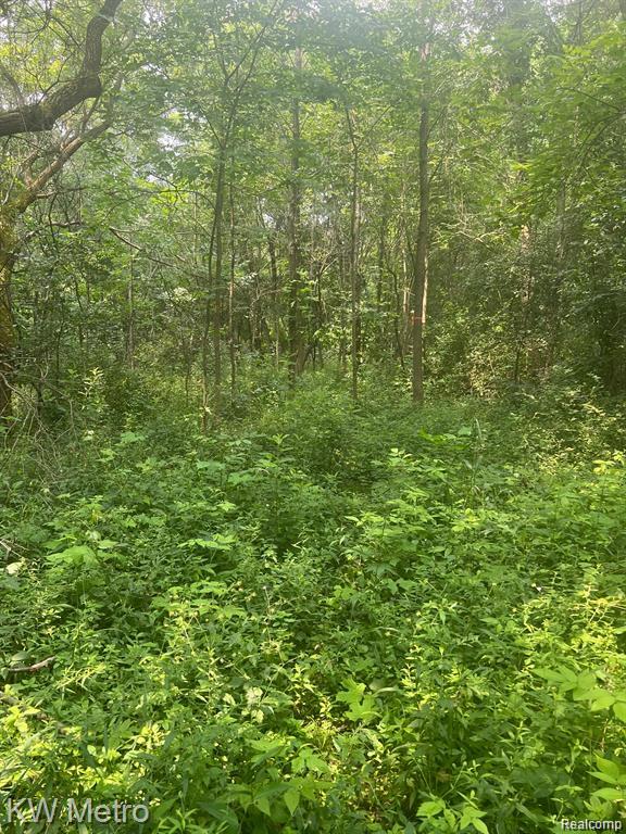 1135 N Baldwin Road, Oxford, MI 48371 — Photo 2