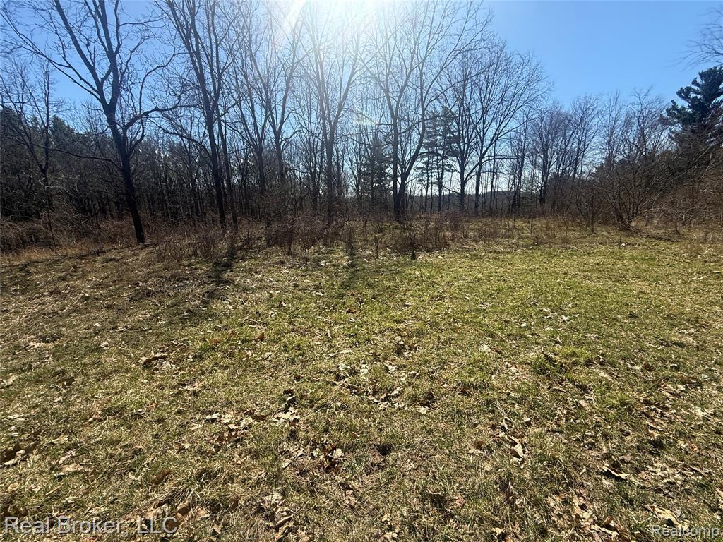 1802 N Elba Road, Lapeer, MI 48446 — Photo 57