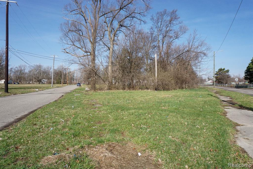 13500 PATTON Street, Detroit, MI 48223 — Photo 9