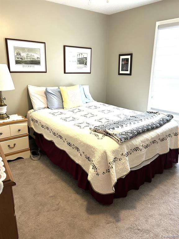 637 RIDGE Lane, B, Tecumseh, MI 49286 — Photo 15
