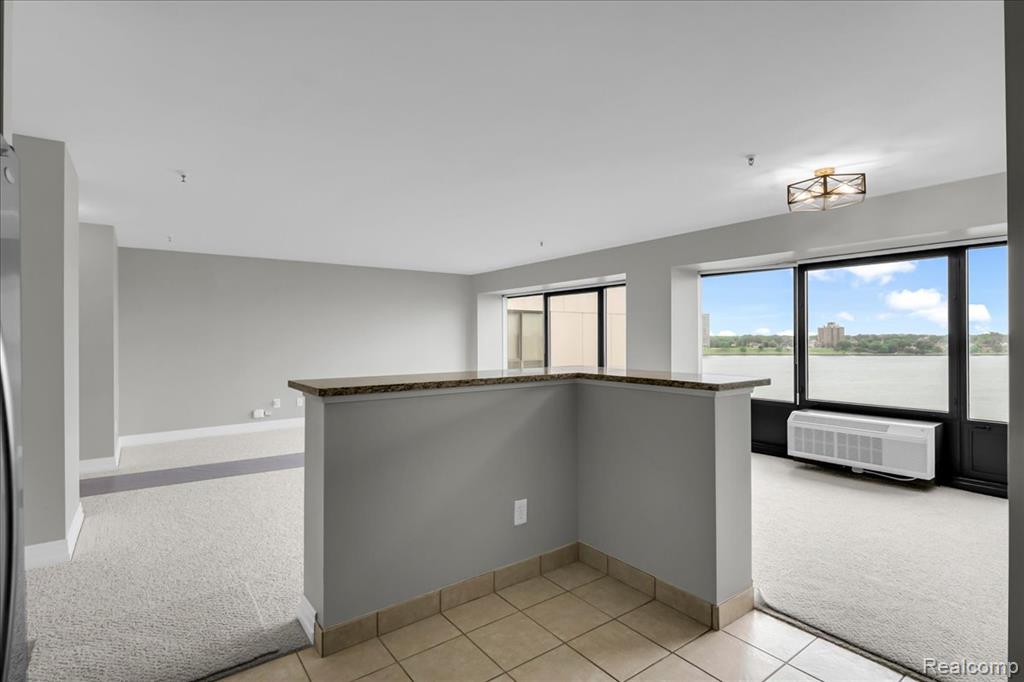 1001 W Jefferson Avenue, 9A, Detroit, MI 48226 — Photo 6