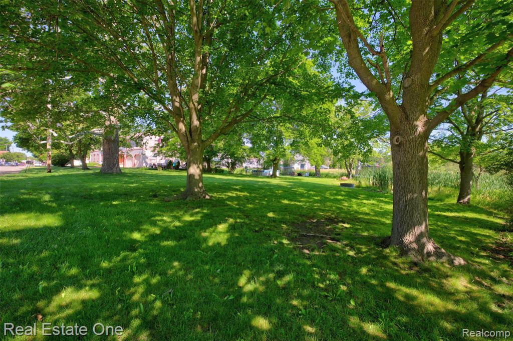 4 N Church Street, Ortonville, MI 48462 — Photo 56