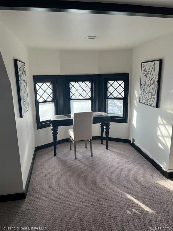 4446 Commonwealth Street, Detroit, MI 48208 — Photo 12