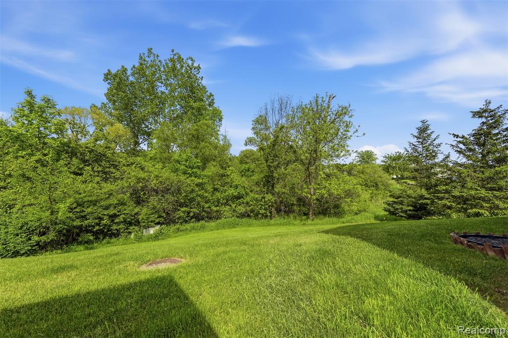 11006 Wood Run Circle, South Lyon, MI 48178 — Photo 17