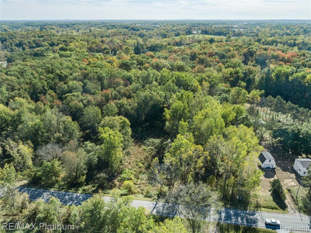 South of 12111 Linden Rd Linden Road, Linden, MI 48451 — Photo 4
