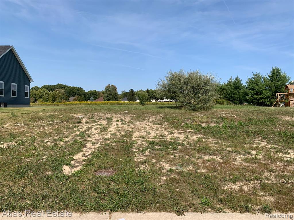 9093 Copper Ridge Drive, Davison, MI 48423 — Photo 4