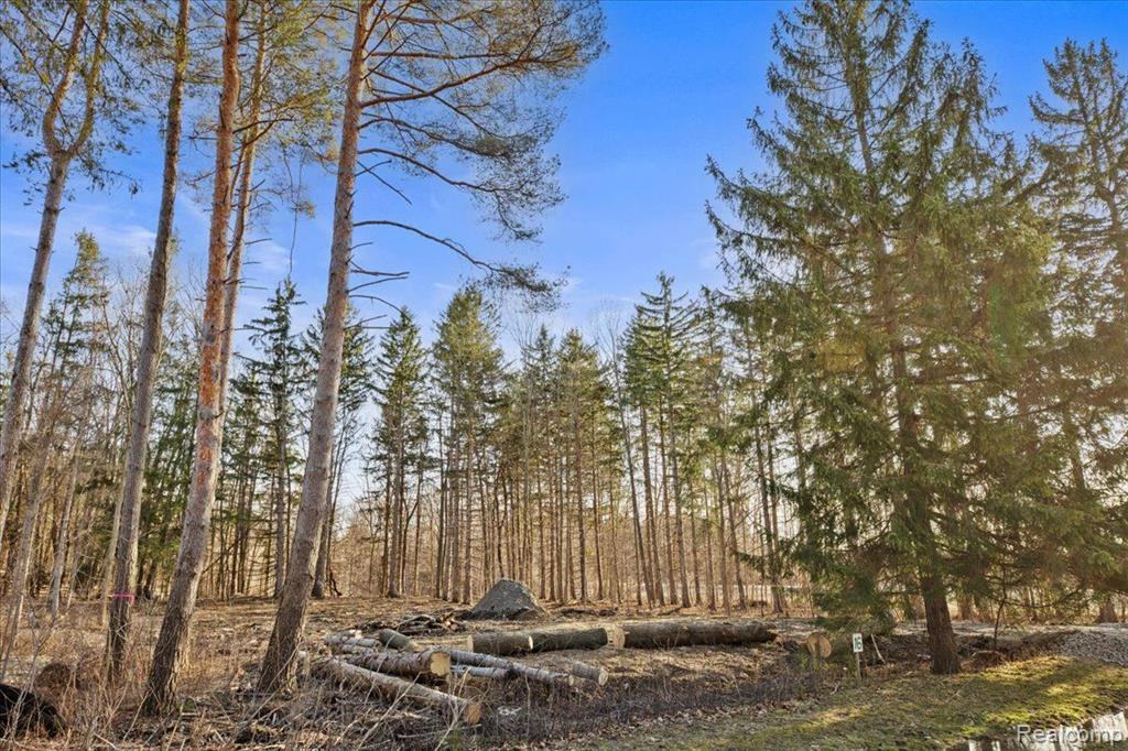 2995 Secluded Pines, Oxford, MI 48371 — Photo 15