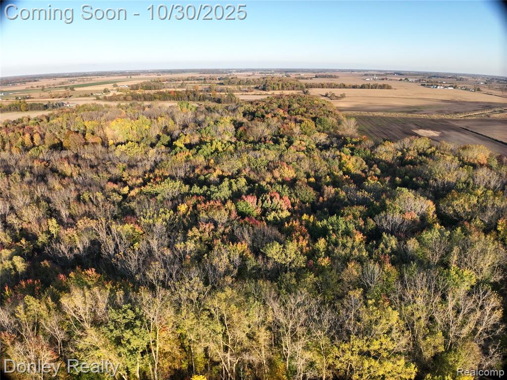 1300 N Van Dyke Road, Marlette, MI 48453 — Photo 28