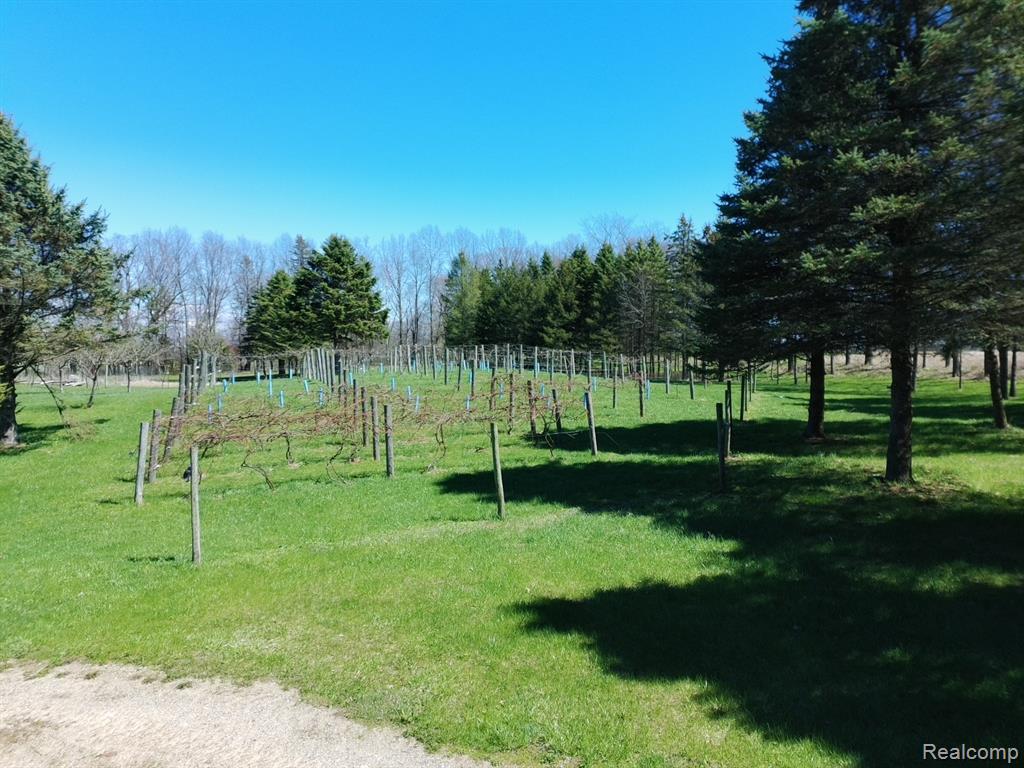 5785 Baldwin Road, Oxford, MI 48371 — Photo 67