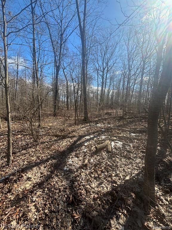 V/L HARTLAND ROAD, Fenton, MI 48430 — Photo 7