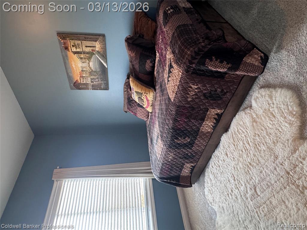 6060 INTRINSIC Lane, Imlay City, MI 48444 — Photo 22
