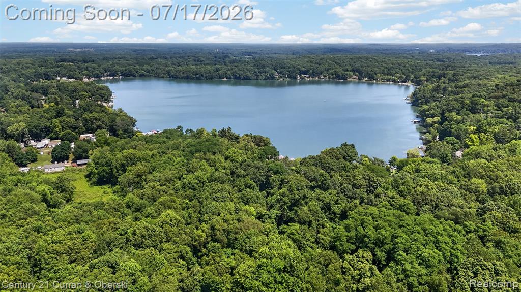 2770 Cozy Cove, Grass Lake, MI 49240 — Photo 79