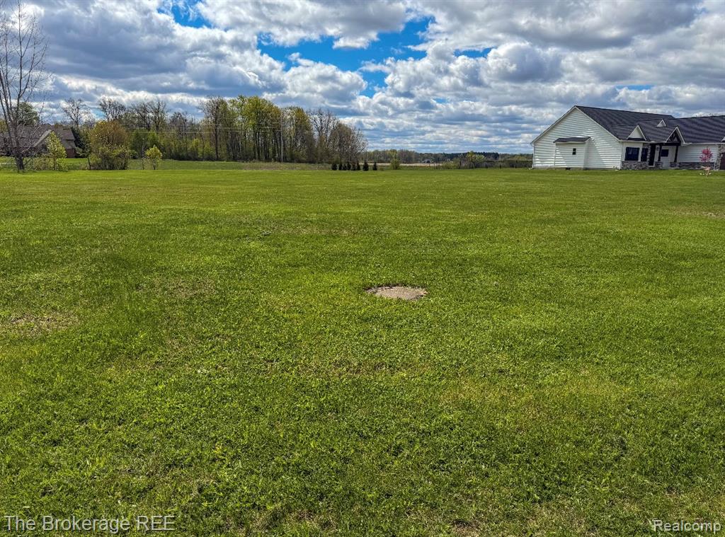 6318 Victoria Lane, Swartz Creek, MI 48473 — Photo 5