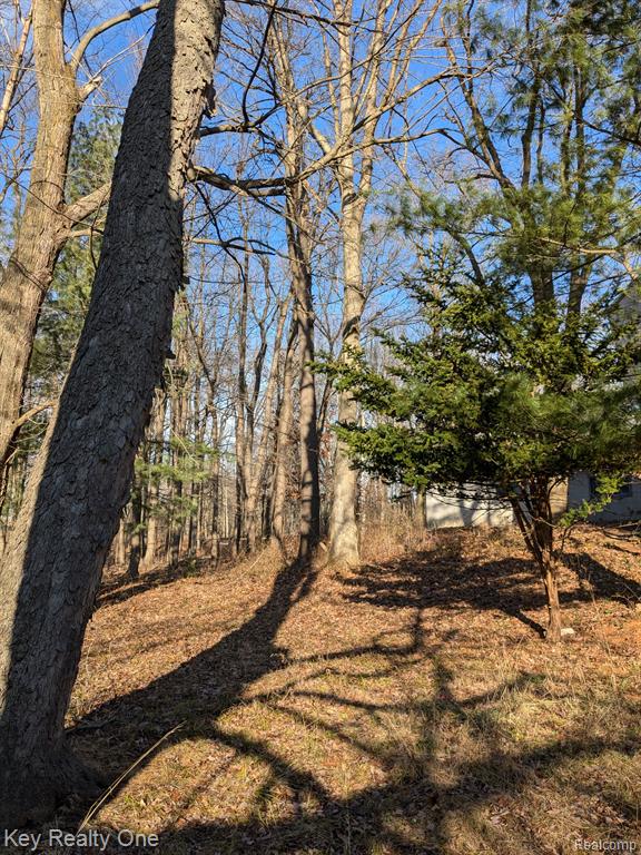 150 PORTER Lane, Leonard, MI 48367 — Photo 78