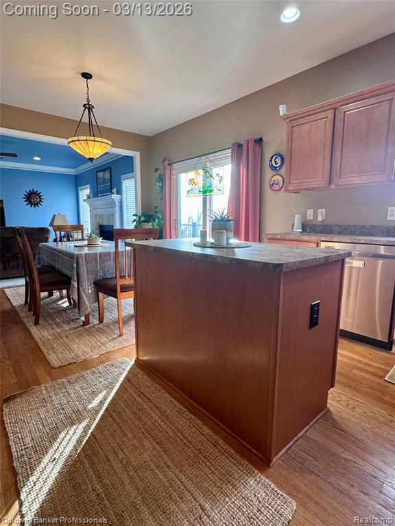 6060 INTRINSIC Lane, Imlay City, MI 48444 — Photo 13