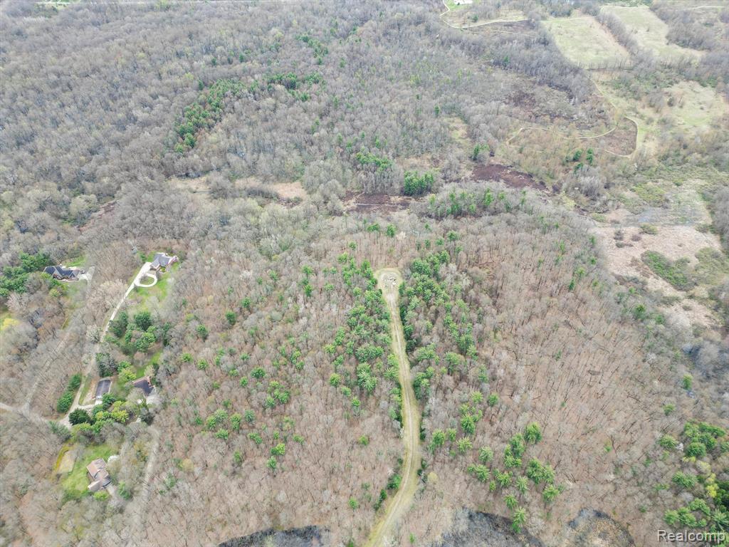 4.23 Acres VL - KNIGHTS BRIDGE Road, Leonard, MI 48367 — Photo 9