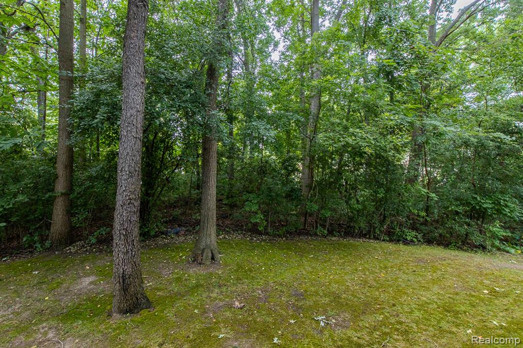 6580 Summit Ridge, Clarkston, MI — Photo 53