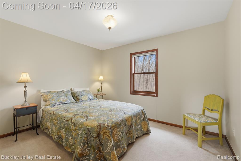539 Bonnie Circle, Howell, MI 48843 — Photo 16