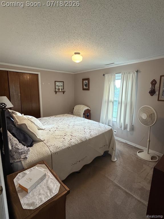 4070 Blood Road, Metamora, MI 48455 — Photo 21