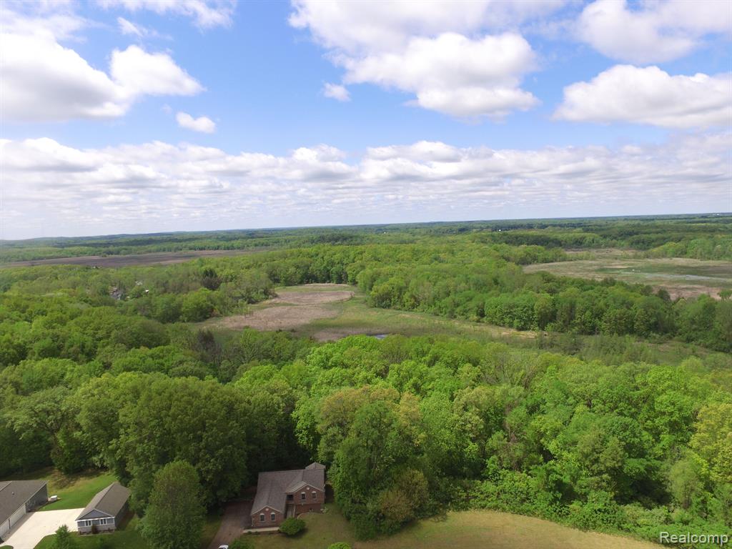 21808 Celestial Circle, Pinckney, MI 48169 — Photo 5