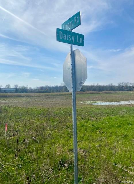 4930 Daisy Lane, Almont, MI 48003 — Photo 11