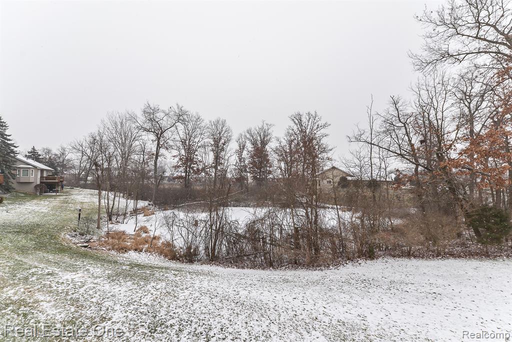 941 PERSIMMON Drive, Brighton, MI 48116 — Photo 6
