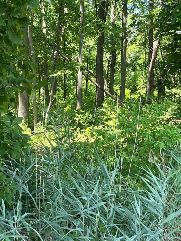 55815 BROUGHTON Road, Macomb, MI 48042 — Photo 7