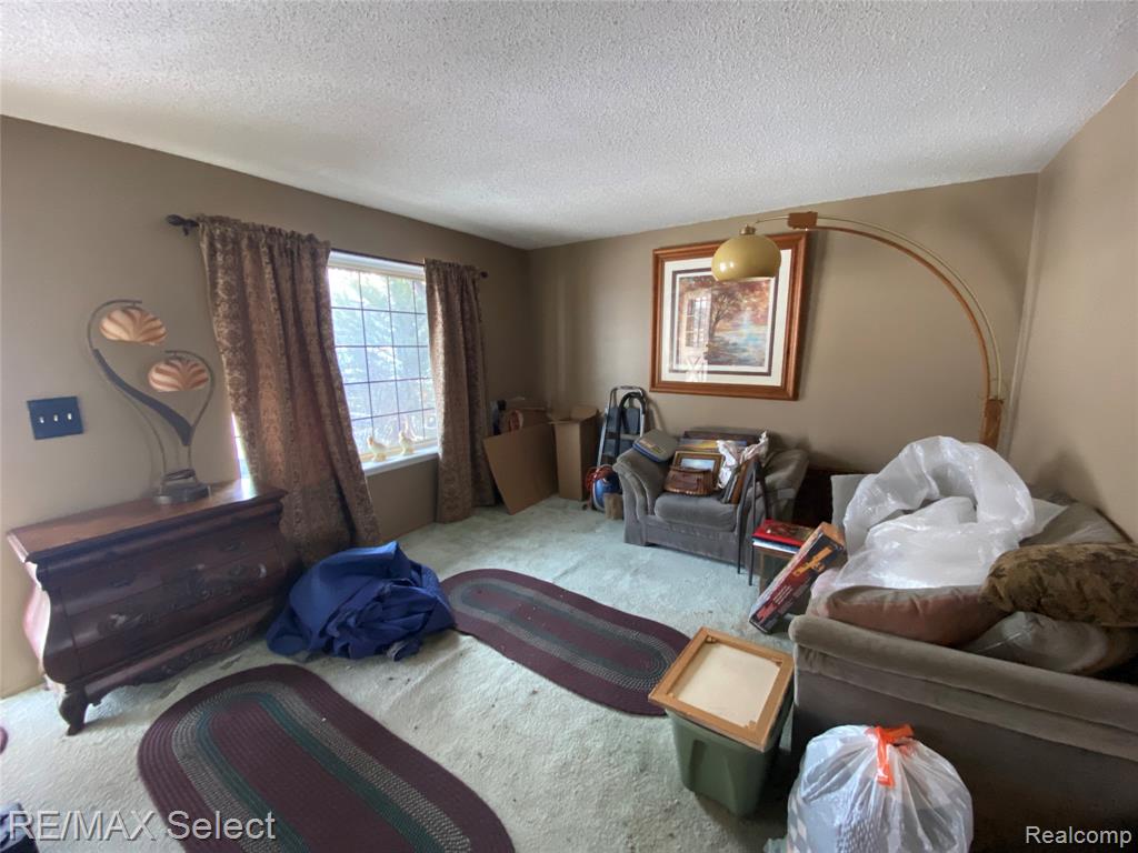 524 W Huron Street, Milford, MI 48381 — Photo 18