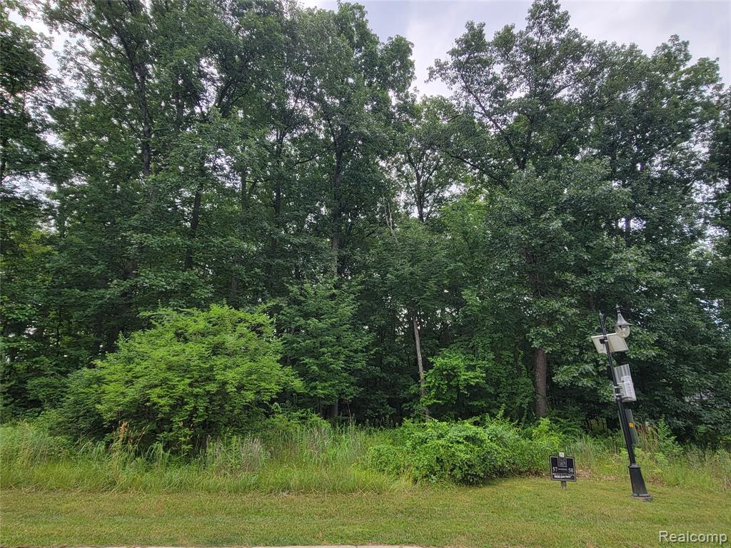 Lot 57 - Wyndam Lane